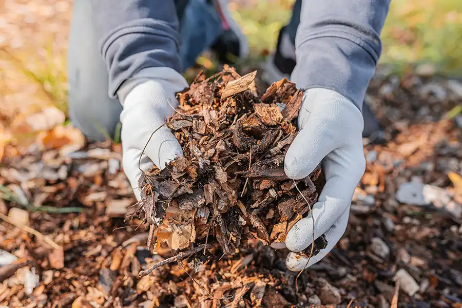 Reliable Mulching Service in Manchester, NH 