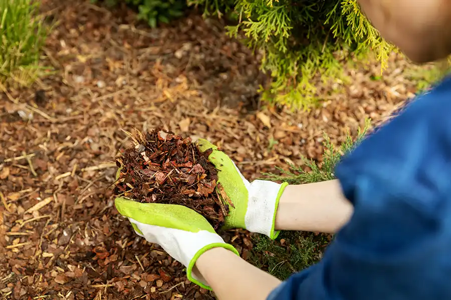 Professional Mulching Service in Manchester, NH 